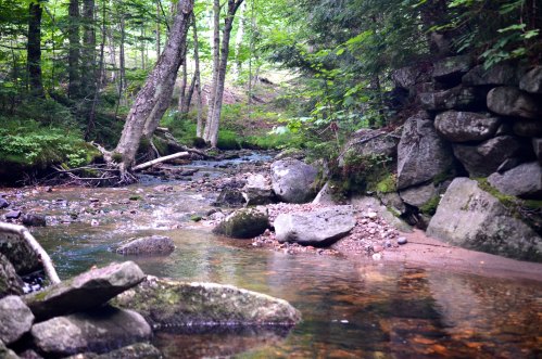 A serene stream flows through a lush forest, with rocks and trees lining the banks under dappled sunlight.