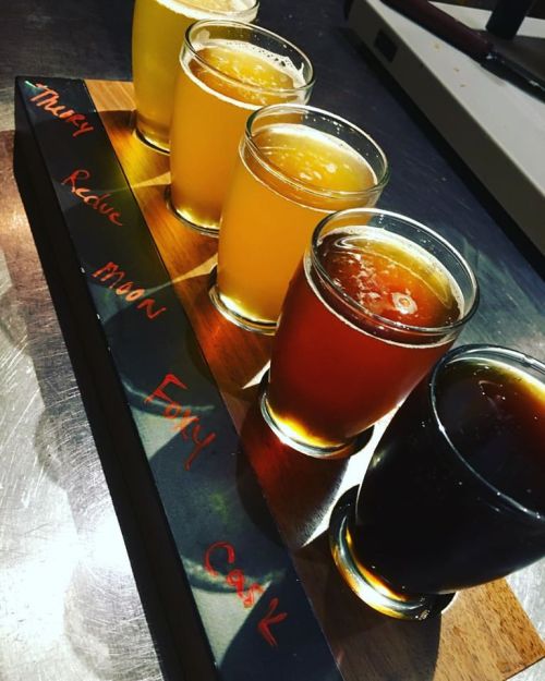 A wooden flight board with five small glasses of different craft beers, labeled with their names.