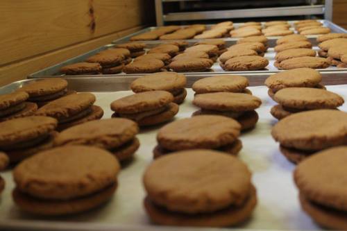 Trays of freshly baked chocolate cookies stacked in pairs, arranged neatly on a countertop.