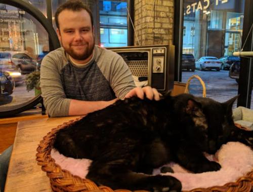 A man sits at a table, gently petting a sleeping black cat in a cozy café setting.