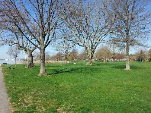 A sunny park scene with bare trees and lush green grass, leading to a distant view of more trees and open space.