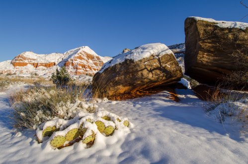 A snowy landscape featuring large rocks and a cactus, with red rock formations in the background under a clear blue sky.