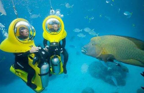 Two divers in underwater scooters observe a large fish in a vibrant coral reef setting.