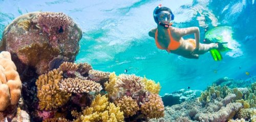 A person snorkeling underwater near vibrant coral reefs and colorful fish.
