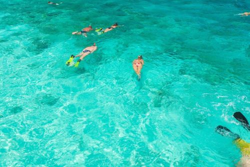 People snorkeling in clear turquoise waters, enjoying a sunny day at the beach.