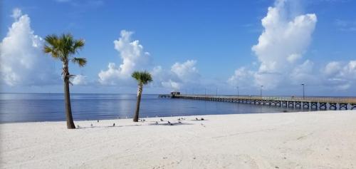 A serene beach scene with palm trees, a wooden pier, and fluffy clouds over calm waters.
