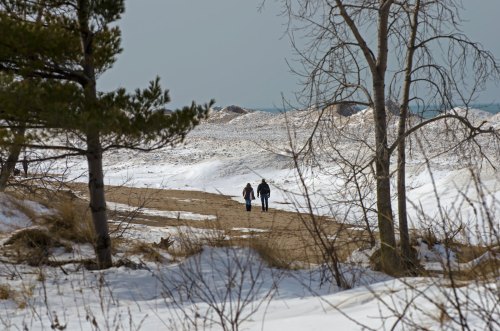Two people walk along a sandy path through a snowy landscape, with trees and dunes in the background.