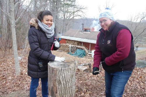 Two women are chopping wood on a stump in a wooded area, with a cabin and smoke in the background.