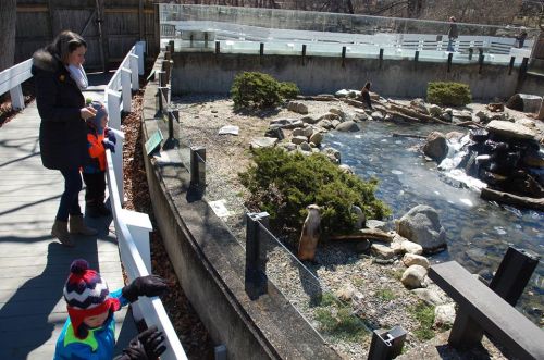 A woman and child observe a small animal exhibit with rocks, water, and greenery at a zoo or wildlife park.