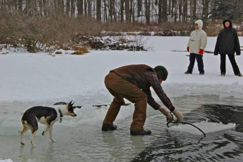 A person in winter gear is fishing through ice while a dog watches nearby, with two people standing in the background.