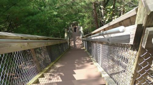 A wooden staircase with a chain-link railing leads down through a forested area, with a person visible at the top.