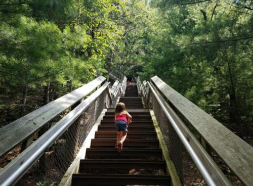 A child climbs wooden stairs surrounded by lush green trees in a forested area.