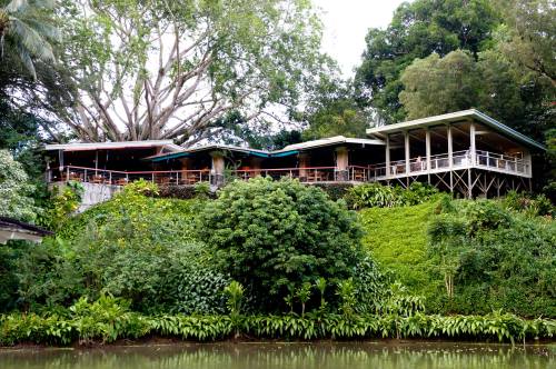 A scenic view of a restaurant on a hillside, surrounded by lush greenery and trees, overlooking a calm water body.