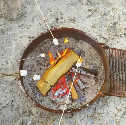 A campfire with marshmallows roasting on sticks, surrounded by sand and logs in a fire pit.