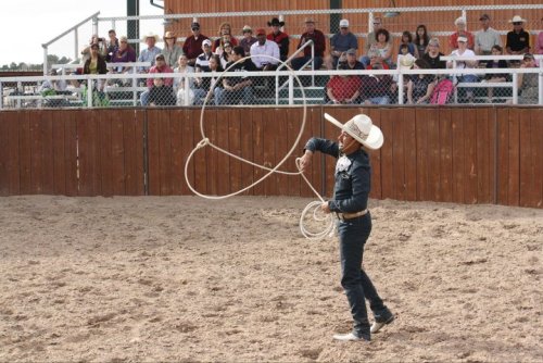 A cowboy in a hat skillfully twirls a lasso in a rodeo arena, with an audience watching from the stands.