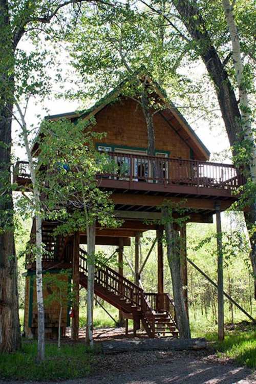 A treehouse nestled among green trees, featuring a wooden deck and stairs leading to the entrance.
