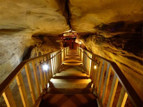 A wooden staircase leads down into a dimly lit cave with rocky walls and soft lighting.