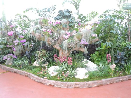 Lush garden scene featuring vibrant orchids, tropical plants, and moss-covered trees in a serene setting.