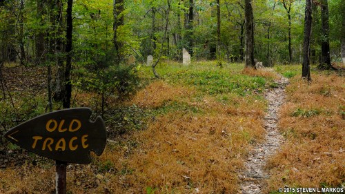 A wooden sign points to "Old Trace" along a narrow path in a forest with scattered gravestones and autumn foliage.