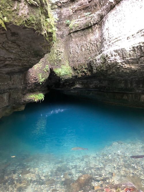 A serene cave with a clear blue pool of water, surrounded by rocky walls and moss.