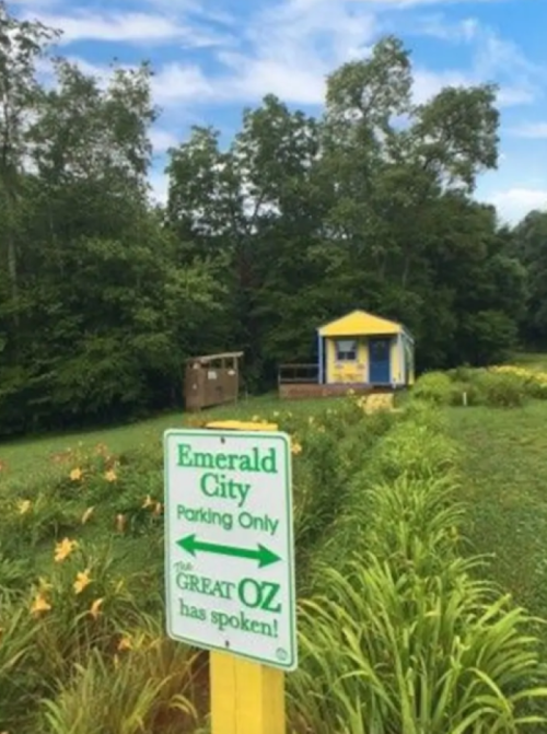 Sign for "Emerald City Parking Only" with a colorful building and lush greenery in the background under a blue sky.
