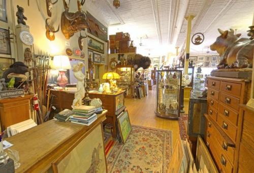 A cozy antique shop filled with various collectibles, artwork, and vintage decor, featuring wooden furniture and taxidermy.