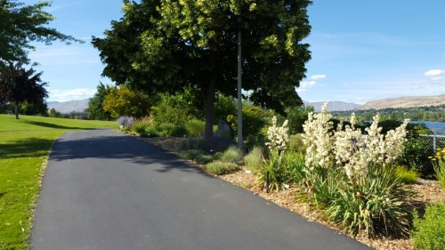 A paved path lined with greenery and flowers, leading to a scenic view by a lake under a clear blue sky.