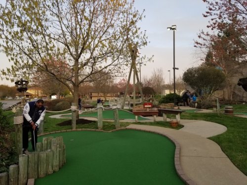 A mini-golf course with green turf, trees, and players enjoying the game in a pleasant outdoor setting.