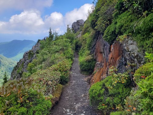 A narrow trail winds through lush greenery and rocky terrain, with mountains and clouds in the background.