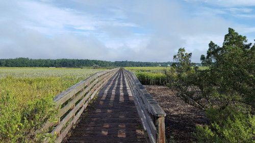 A wooden boardwalk stretches through a lush green marsh under a cloudy sky.