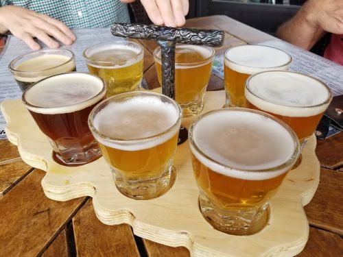 A wooden flight board holds eight small glasses of various beers, arranged in two rows, on a wooden table.