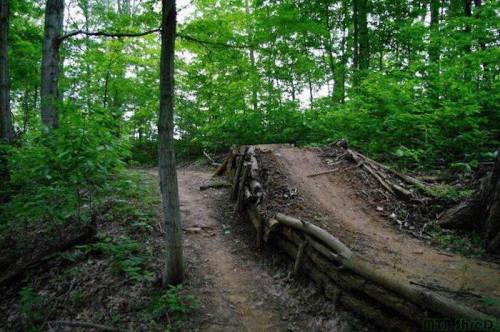 A dirt path splits in a lush green forest, featuring a small wooden ramp on one side.