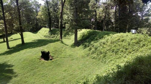 Lush green landscape featuring ancient earthworks and trees, with a grassy area and a small hollow in the foreground.