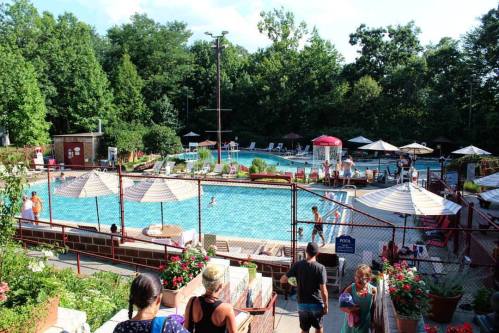 A sunny pool area with people swimming, lounging, and umbrellas, surrounded by greenery and flowers.