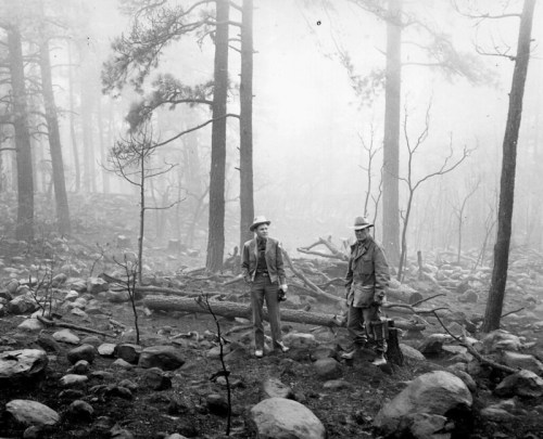 Two men stand among charred trees and rocks in a foggy forest after a fire, wearing hats and looking at the damage.