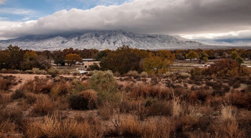 A scenic view of snow-capped mountains under a cloudy sky, with autumn foliage and dry grass in the foreground.