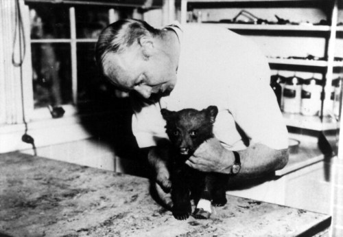 A man in a white coat examines a small bear cub on a table in a laboratory setting.