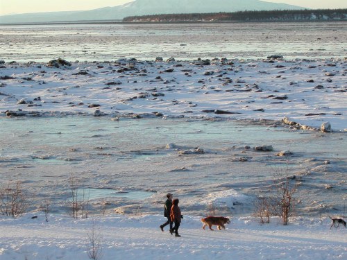 Two people walk their dogs along a snowy landscape with ice and water, mountains in the background.