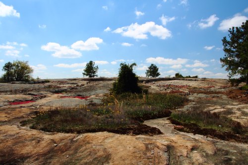 A rocky landscape with patches of grass and wildflowers under a blue sky with scattered clouds.