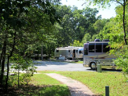 A scenic view of two RVs parked in a wooded area, with a path leading through the greenery.