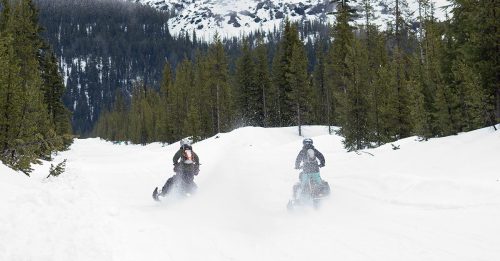 Two snowmobiles ride through a snowy forest trail, surrounded by tall evergreen trees and mountains in the background.