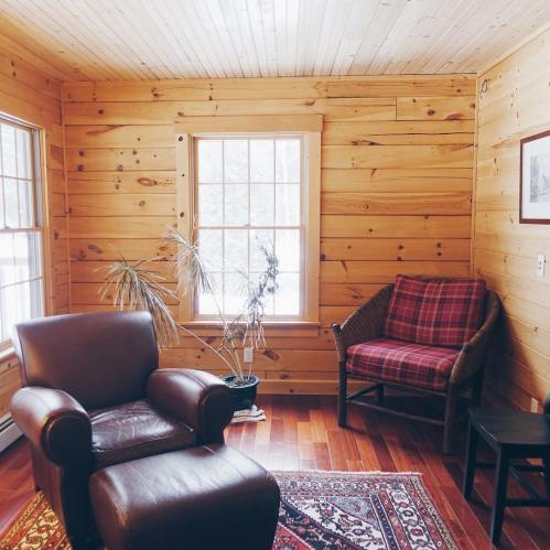 Cozy wooden room with a leather chair, plaid armchair, and a potted plant by a window, featuring a patterned rug.