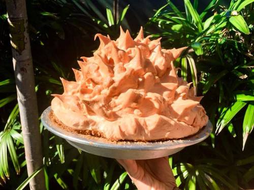 A person holding a large, fluffy, orange dessert on a pie crust, surrounded by lush green plants.