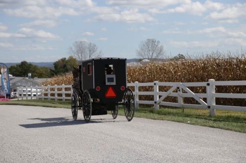 An Amish buggy travels down a gravel road beside a cornfield under a partly cloudy sky.
