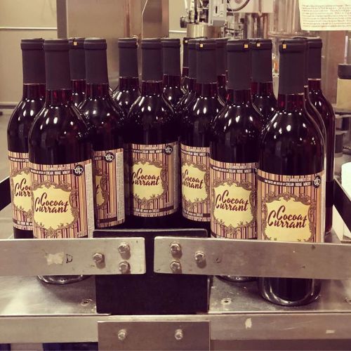 A group of wine bottles labeled "Coconut Currant" arranged neatly on a production line.