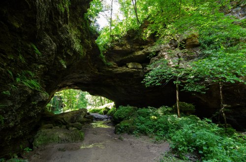 A lush green forest scene featuring a large rock arch and a small stream flowing beneath it.