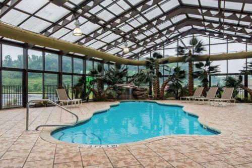 Indoor swimming pool surrounded by palm trees and lounge chairs, with a glass roof and scenic views outside.