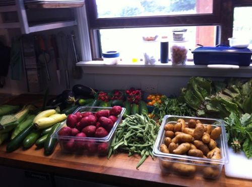 A wooden countertop filled with fresh vegetables, including zucchini, potatoes, tomatoes, and lettuce, near a window.