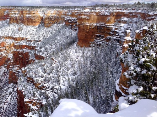 Snow-covered canyon with steep cliffs and evergreen trees, under a cloudy sky.