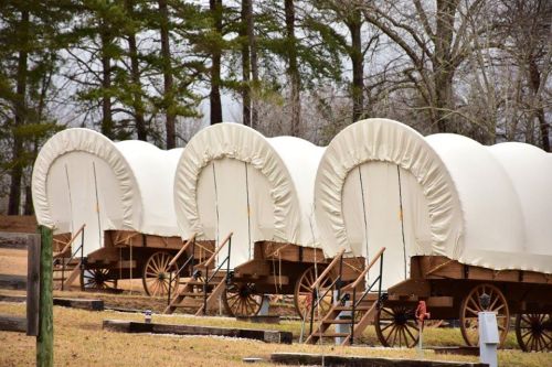 Three covered wagons lined up in a grassy area, surrounded by trees and a cloudy sky.